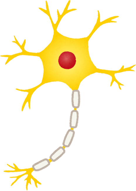 Illustration of a Neuron, the Nerve Cell